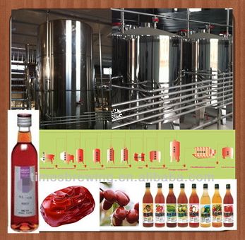 All kinds of fruits juice vinegar beverage automatic fermentation machine