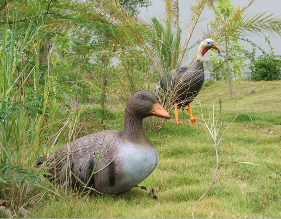 Farway goose archery target for shooting