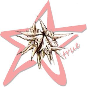 Tribulus Terrestris Extract