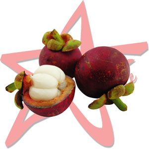 Mangosteen Extract