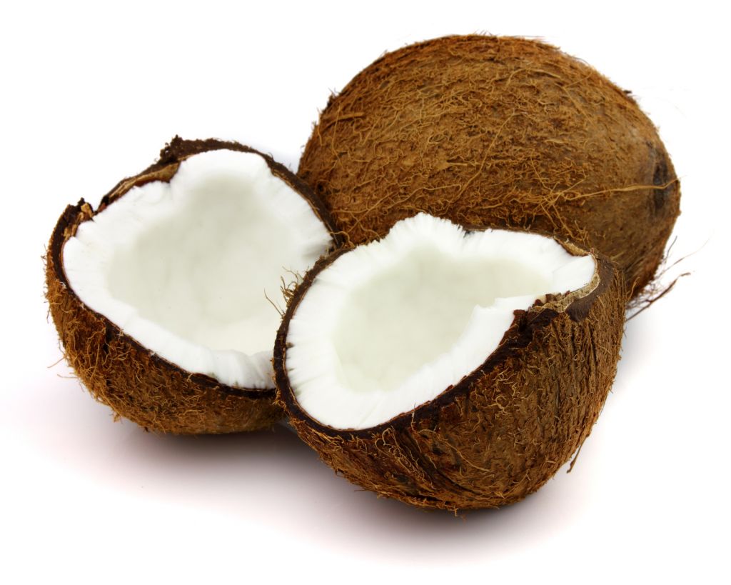 Coconut & Coconut Products