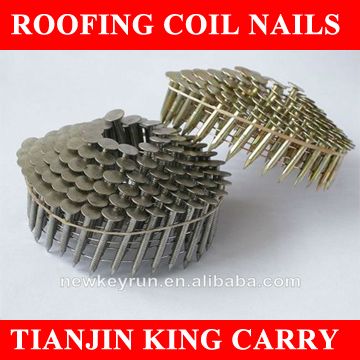 1 1/4'' smooth shank hot galvanized roofing coil nails