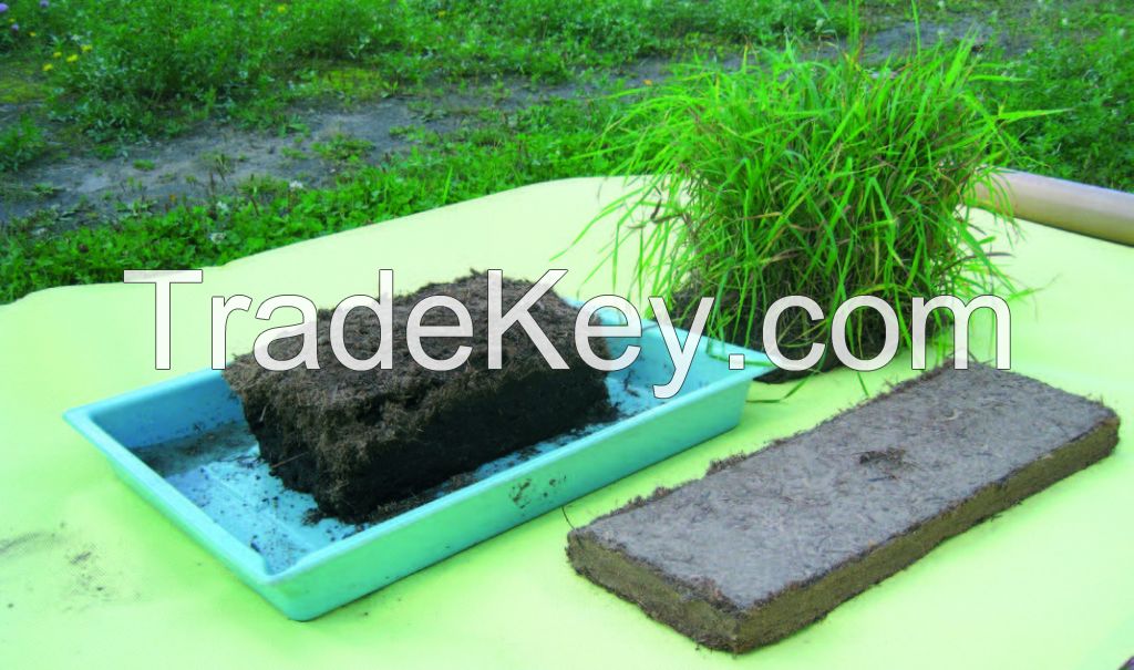 Pressed Peat Slab