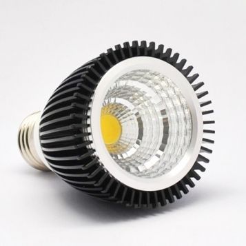 LED PAR Lamp