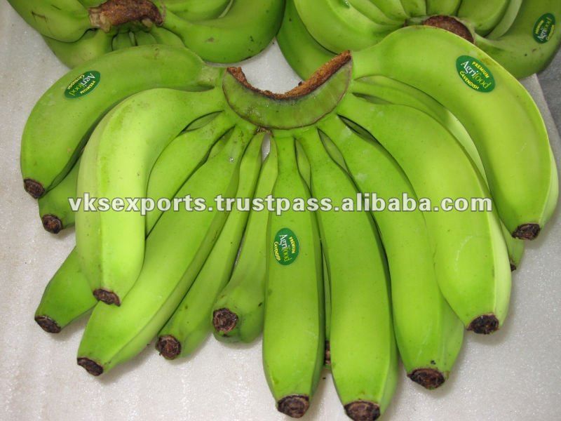 Fresh Green Cavendish Bananas