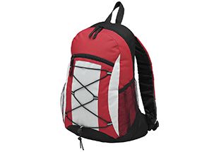 COLLEGE BACKPACK