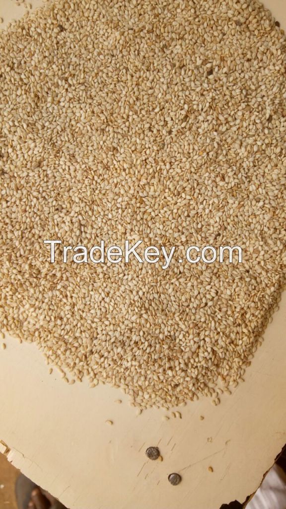 Sesame Seeds (Light Brown, Natural, 98% Cleaned, 52% Oil, 20% Protein, 2% FFA)
