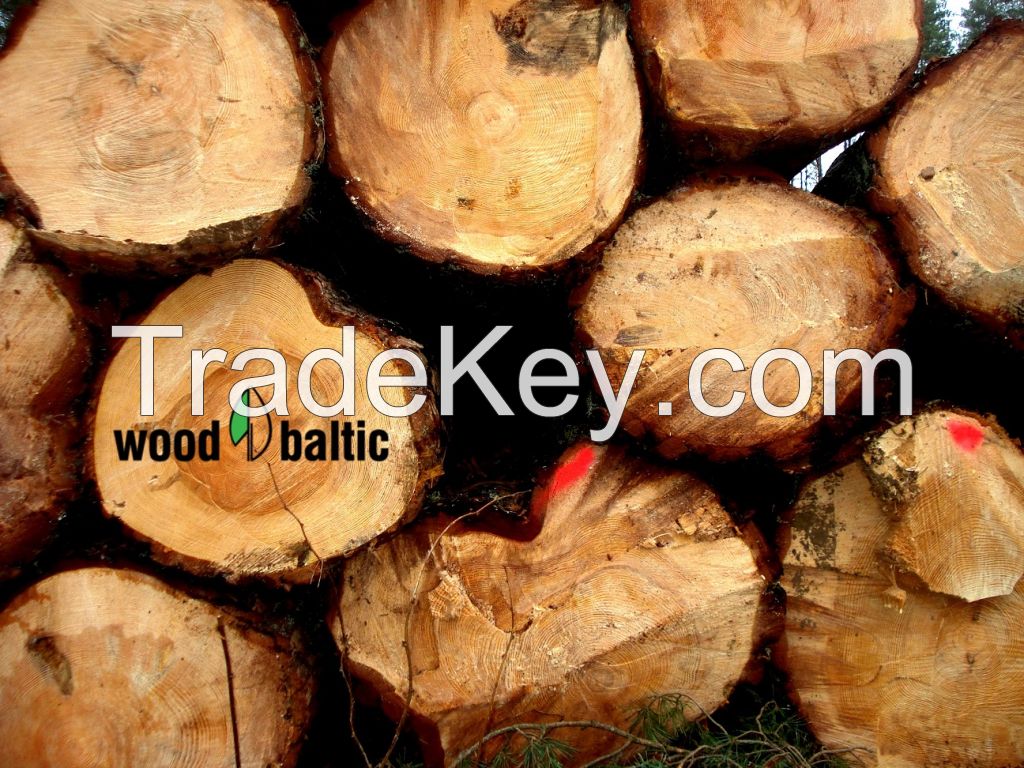 Pine logs