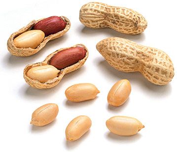 Groundnuts