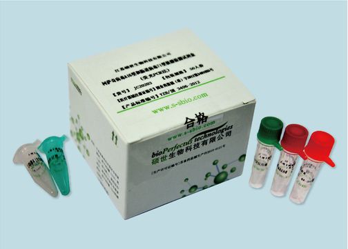 Herpes Simplex Virus Real Time PCR Kit CE-Marked