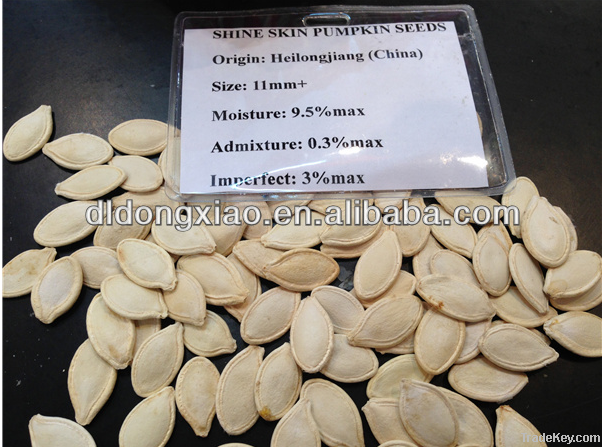Pumpkin Seeds & Kernel , Sunflower  Seeds & Kernel , Pine nuts