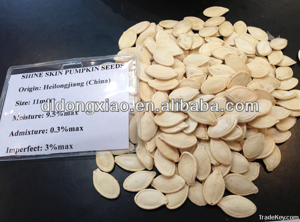 Pumpkin Seeds & Kernel , Sunflower  Seeds & Kernel , Pine nuts