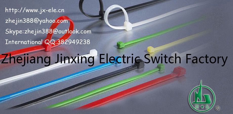 CE-Nylon cable ties-jx-ele.cn