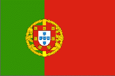 Translation service  Portuguese - Chinese