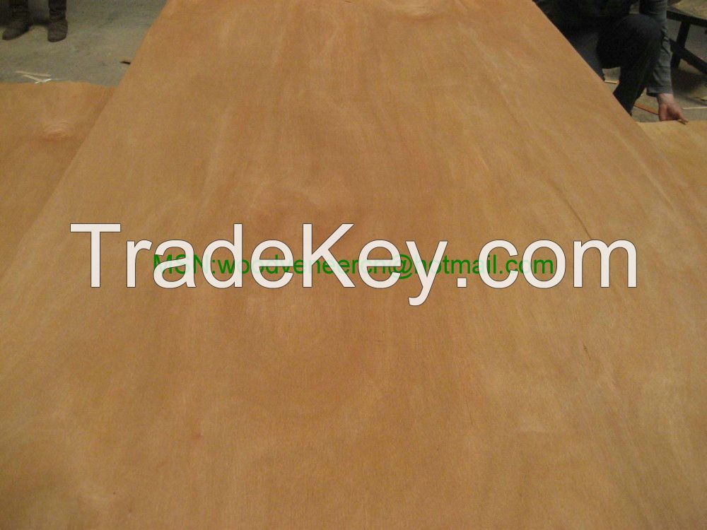 Dillenia Veneer