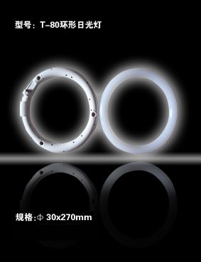 The annular daylight lamp T80 30*270mm