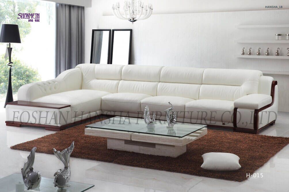 2014 Elegant Leather Sectional