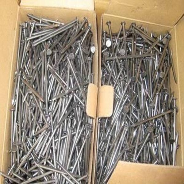 Common  Iron  Nails