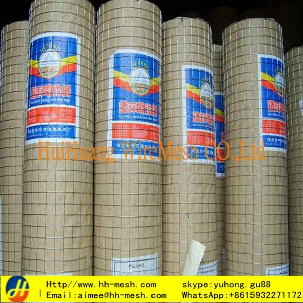 China Exporter Manufacture3/4'' Welded Wire Mesh