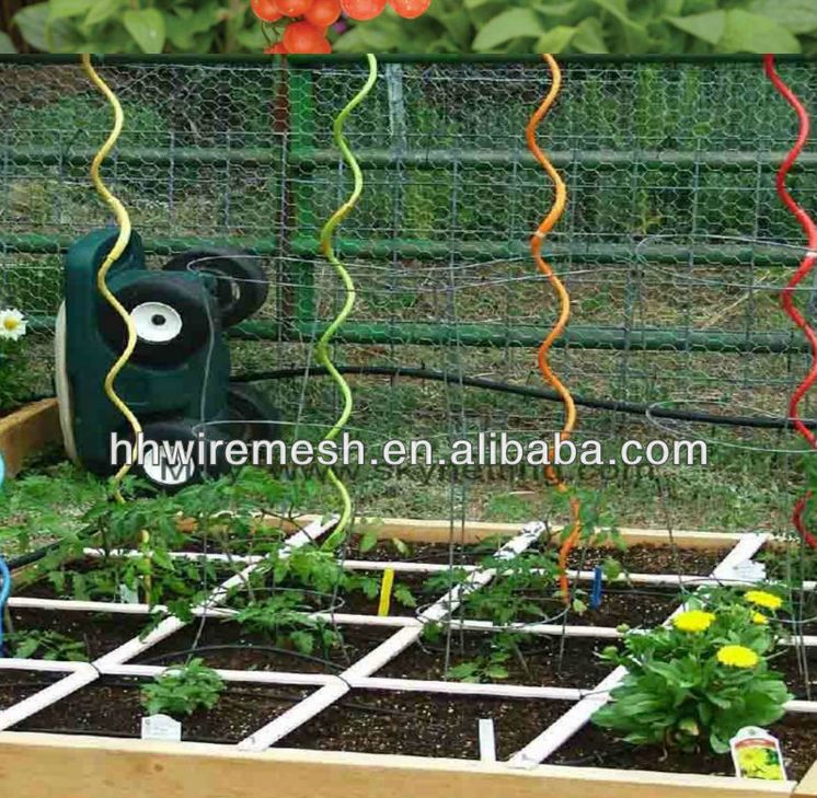 	Tomato Spiral Plant Support