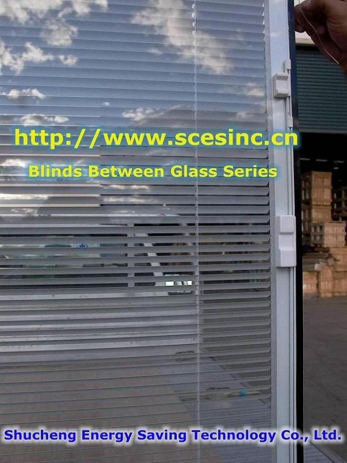 Venetian Blinds , Built In Blinds for Doors and Windows