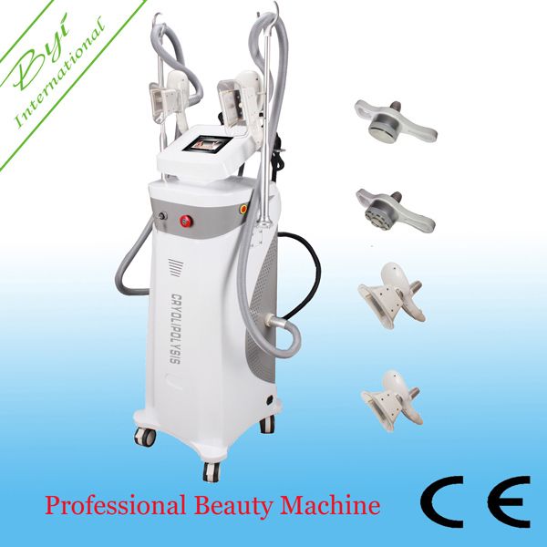 BEST RESULT body shaping cryolipolysis slimmning machine