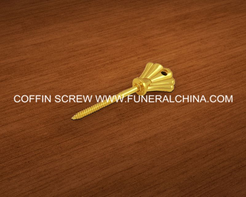 coffin screw PS001