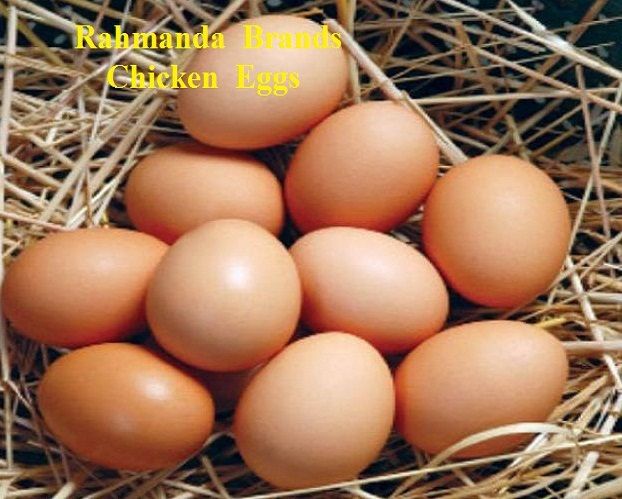 Chicken Eggs