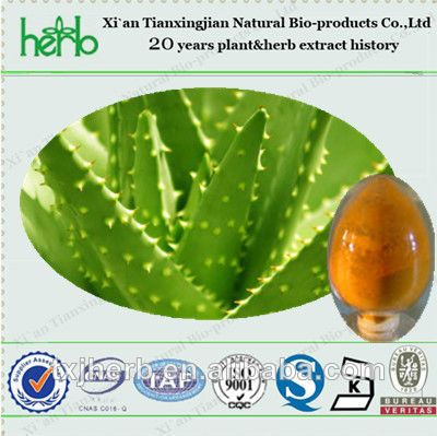 Top Quality 98% Emodin HPLC Anti-tumor Aloe Vera Extract Powder