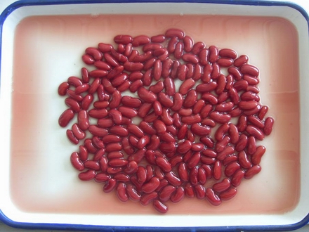 Canned Red Kidney Beans