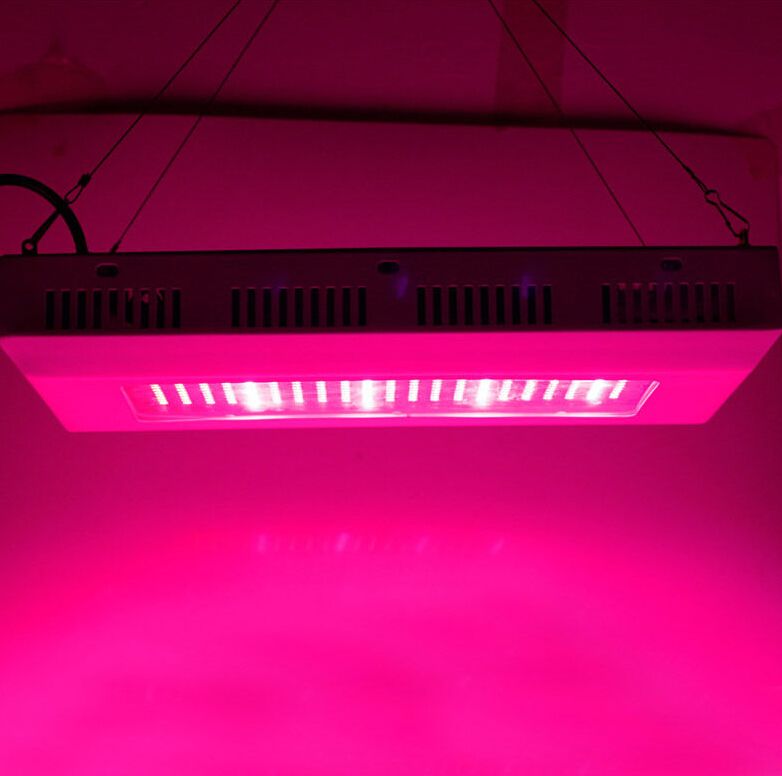 2014 The hot sale high power full spectrum 300w led grow light 