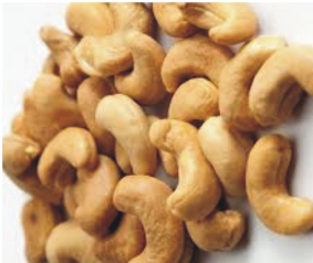 Cashew Nut