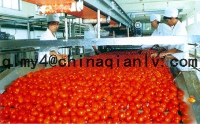 2014 new tomato paste