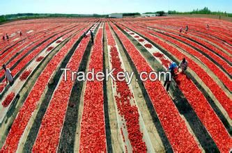 210g Canned Tomato Paste 28-30%