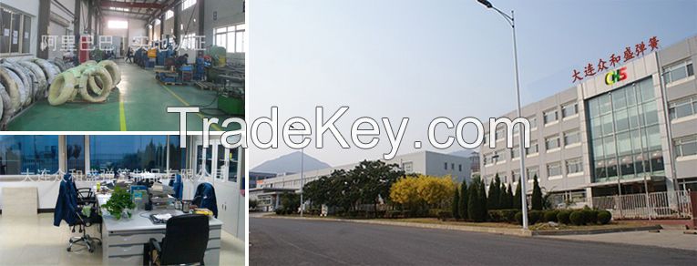 ISO10243 standard ultra heavy duty rectangular wire die spring factory chinese brand germany die spring