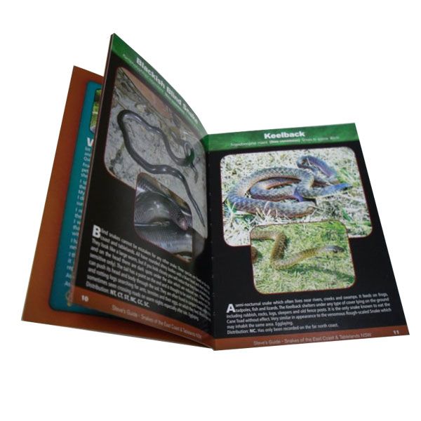 Custom colorful comic softcover book printing