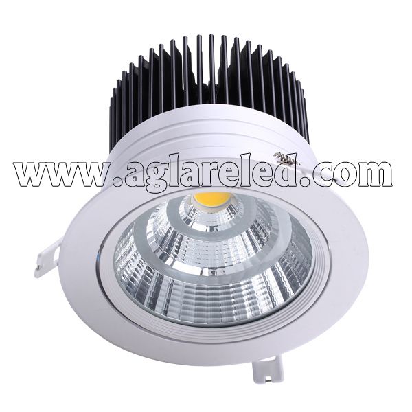 Led Down Light 30W CL504