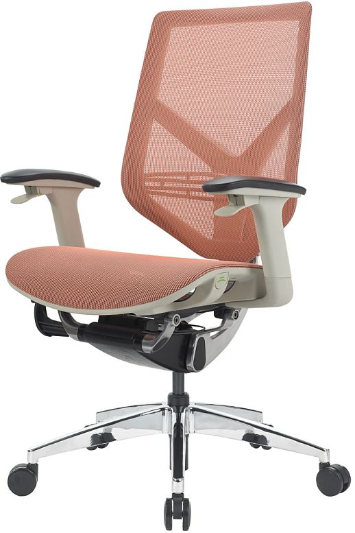 Gaotian Ergonomic Chair Office chair furniture