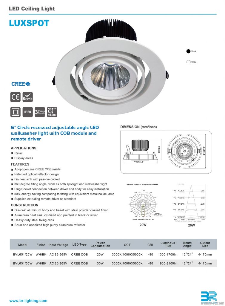 round recessed COB led down light