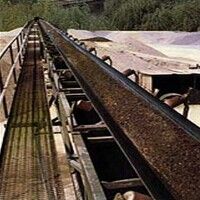 Cotton Conveyor Belt