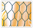 Hexagonal mesh    Hexagonal   wire  mesh