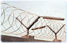 razor barbed wire    razor  wire