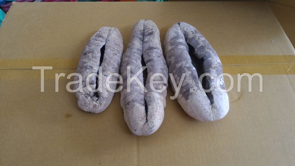 DRIED SEA CUCUMBER