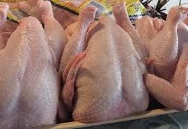 FROZEN CHICKEN MEAT, HALAL FROZEN CHICKEN PAWS, WHOLE FROZEN WHOLE CHICKEN, CHICKEN WINGS FOR SALE