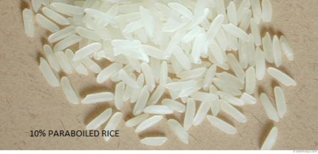 Rice