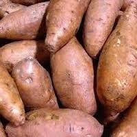 Fresh Sweet Potatoes