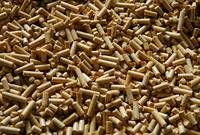 High Quality Wood Pellets in All Sizes,Oak Charcoal,Lump Wood Charcoal,BBQ Charcoal Briquettes,Hardw