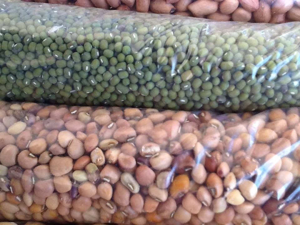 LENTILS