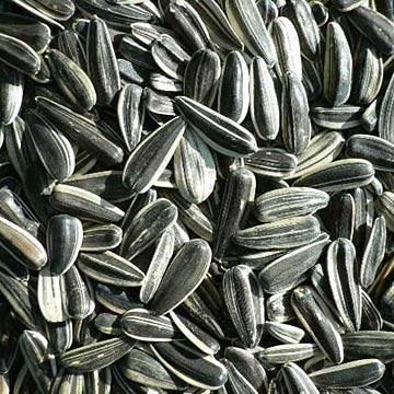 SUNFLOWER SEEDS