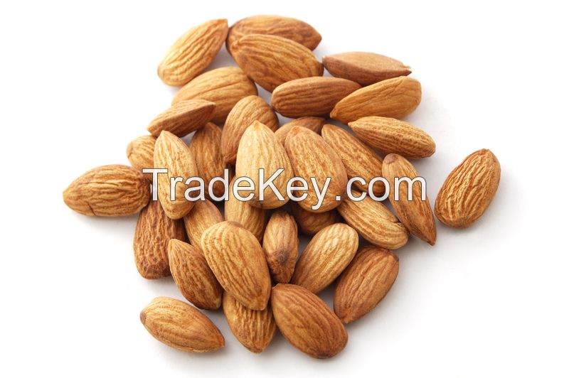 Grade A Almond Nuts / Raw Natural Almond Nuts / Organic Bitter Almonds